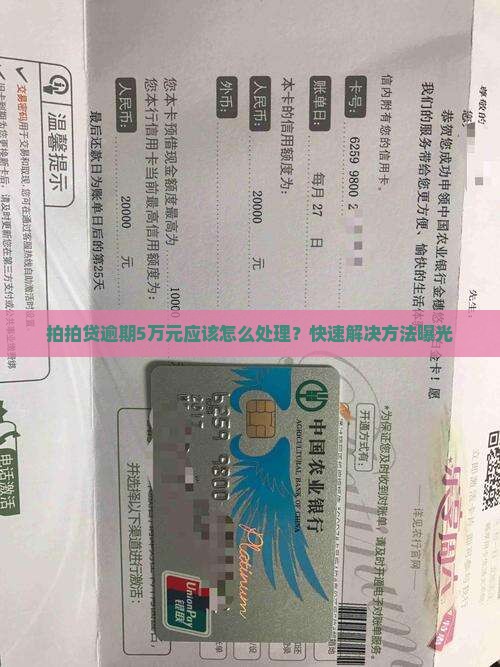 拍拍贷逾期5万元应该怎么处理
