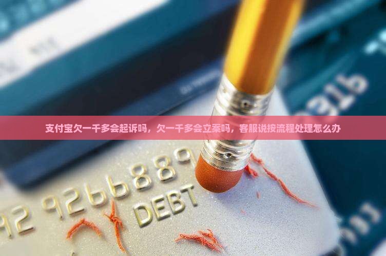 支付宝欠一千多会起诉吗