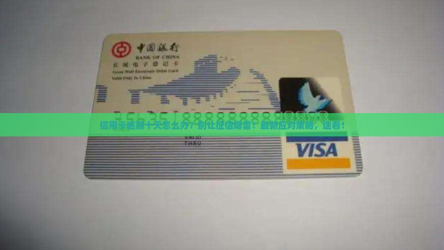 信用卡逾期十天怎么办应对策略