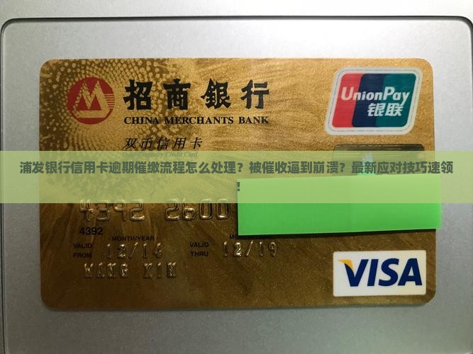 浦发银行信用卡逾期催缴流程怎么处理