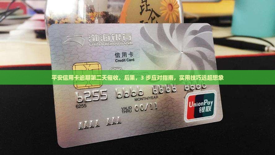 平安信用卡逾期第二天催收