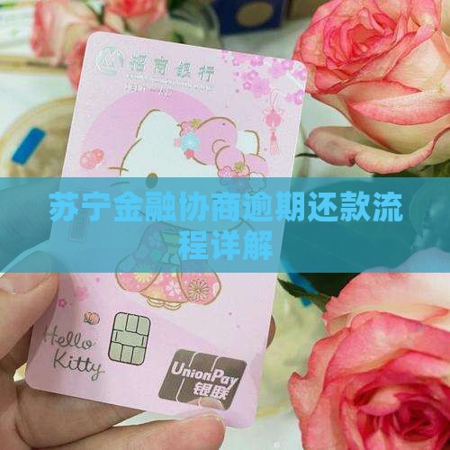 苏宁金融贷款协商流程详解