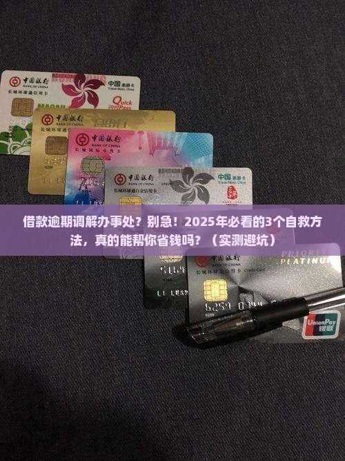 借款逾期调解办事处