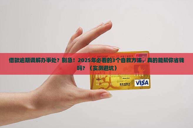 借款逾期调解办事处