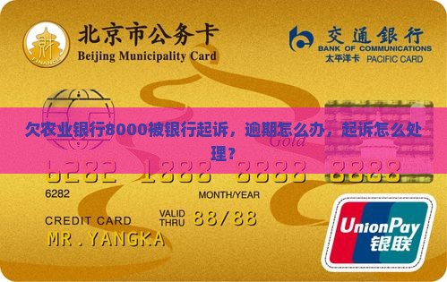 欠农业银行8000被起诉怎么办