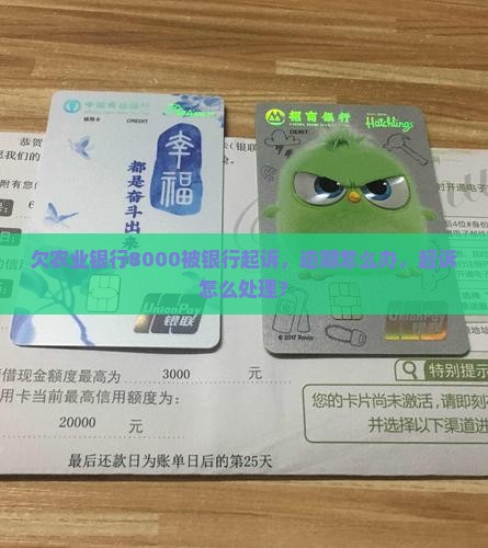 欠农业银行8000被起诉怎么办