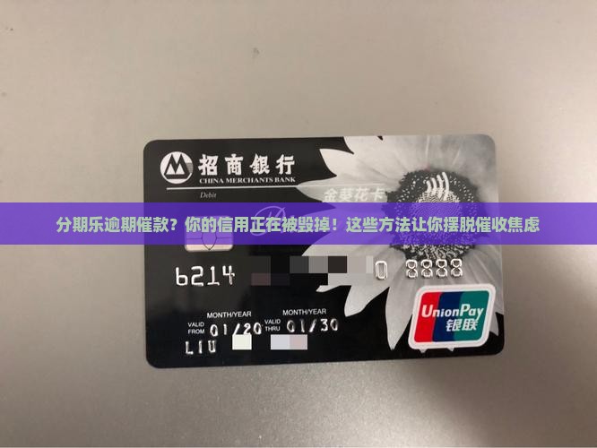 分期乐逾期催款