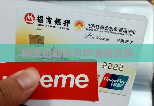 网贷逾期还可申请网贷吗