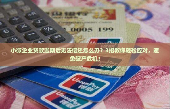 小微企业贷款逾期后无法偿还怎么办