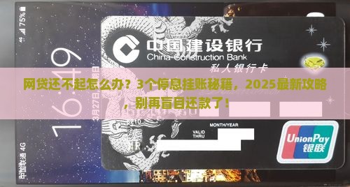 网贷实在还不起怎么停息挂账