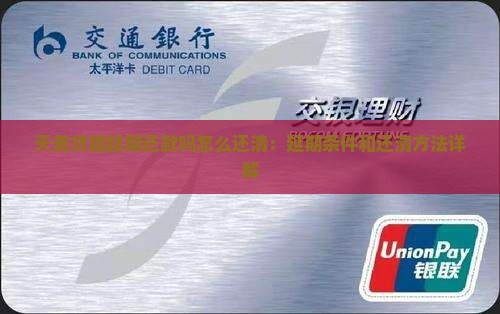 天美贷能延期还款吗怎么还清