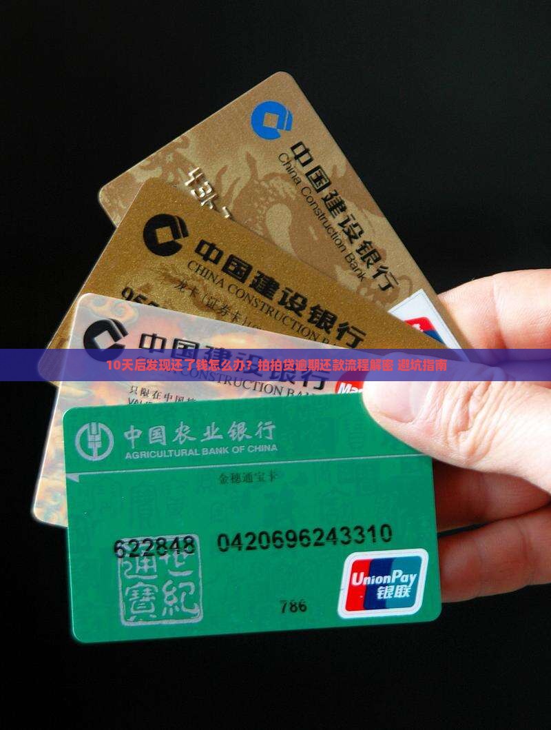 拍拍贷逾期把钱还了怎么办还款流程