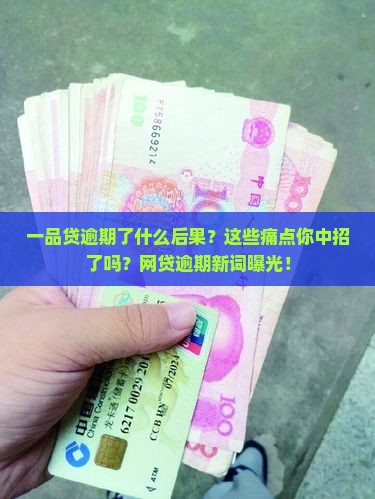 一品贷逾期了什么后果