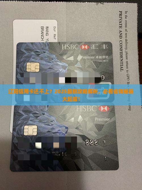 辽阳信用卡无力还款最佳处理方法是什么
