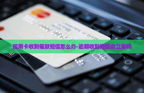 信用卡收到催款短信怎么办-逾期收到短信会立案吗