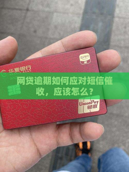 网贷逾期如何应对短信催收，应该怎么？