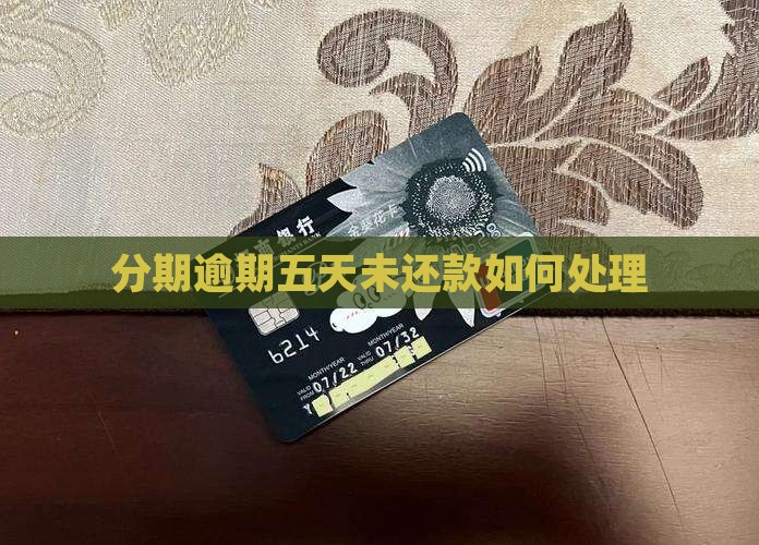 分期逾期五天未还款如何处理
