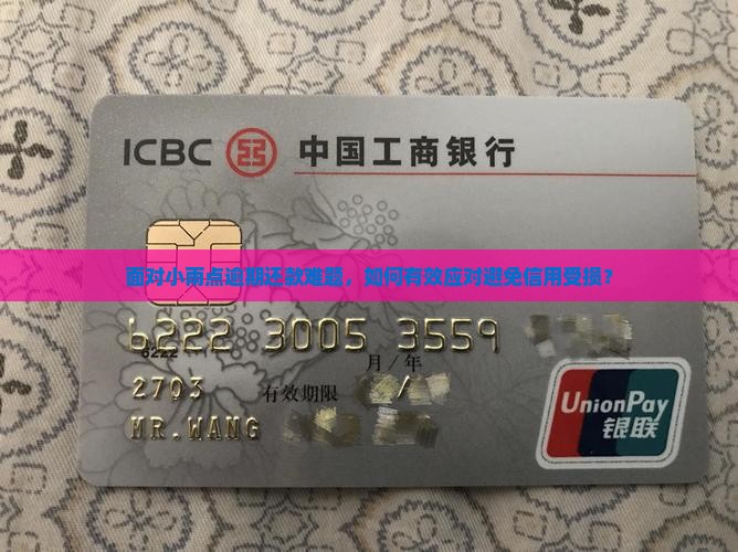 面对小雨点逾期还款难题，如何有效应对避免信用受损？