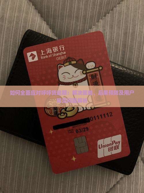如何全面应对呼呼贷逾期：解决策略、后果预防及用户常见问题解析