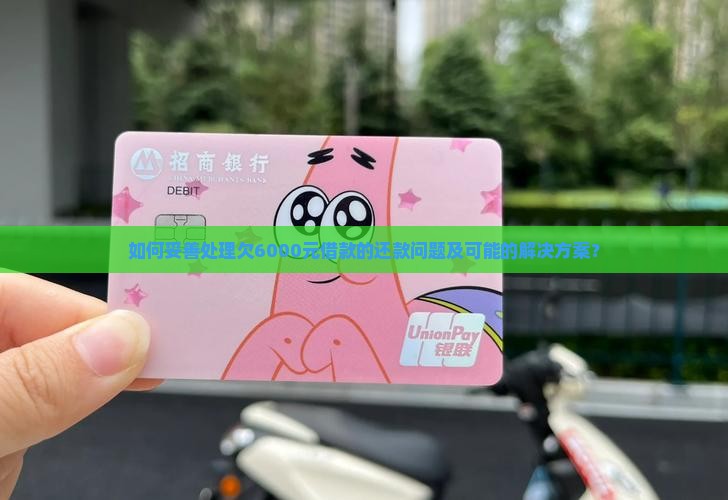 如何妥善处理欠6000元借款的还款问题及可能的解决方案？
