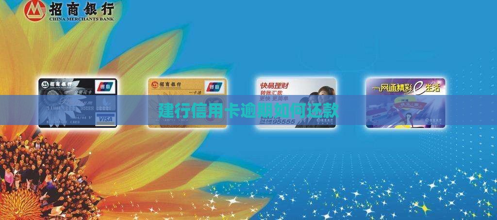 建行信用卡逾期如何还款