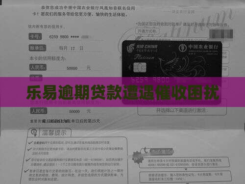 乐易逾期贷款遭遇催收困扰