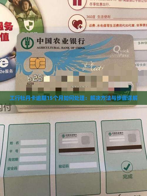 工行牡丹卡逾期15个月如何处理：解决方法与步骤详解