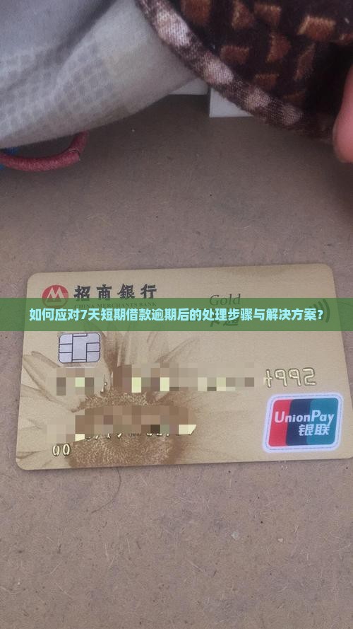 如何应对7天短期借款逾期后的处理步骤与解决方案？