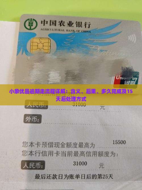 小象优品逾期走流程详解：含义、后果、多久完成及15天后处理方式