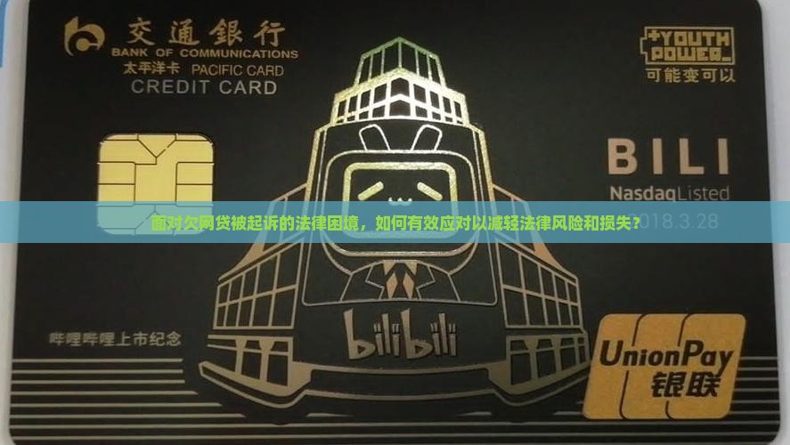 面对欠网贷被起诉的法律困境，如何有效应对以减轻法律风险和损失？
