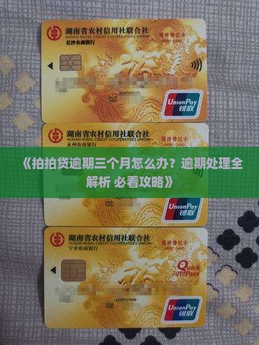 拍拍贷逾期三个月怎么办