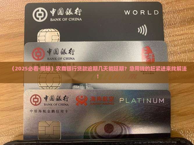 农商银行贷款还款期限延迟多少天