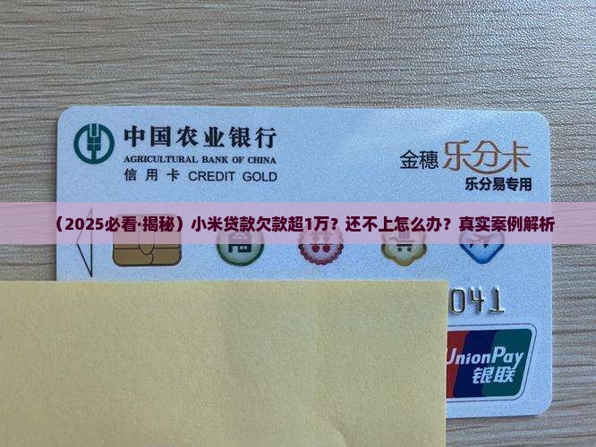 小米贷款欠款如何处理
