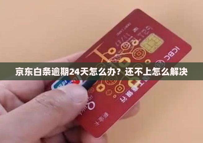 京东白条逾期24天怎么办