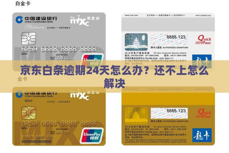 京东白条逾期24天怎么办