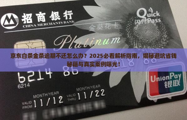 京东白条金条逾期不还