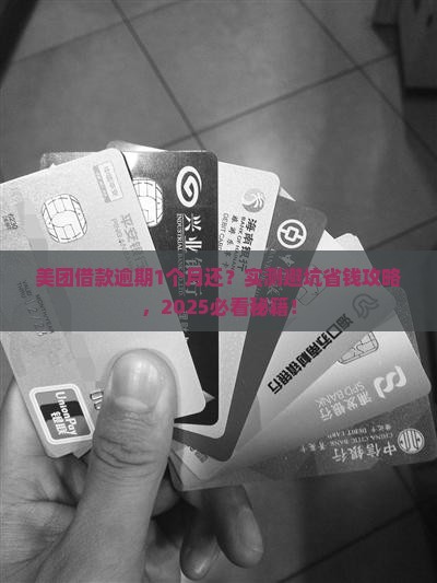 美团借款逾期1个月还
