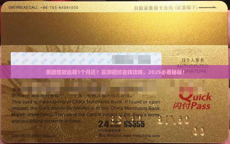 美团借款逾期1个月还
