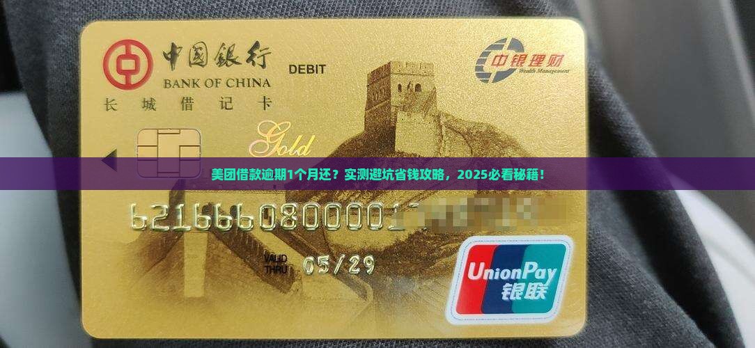 美团借款逾期1个月还