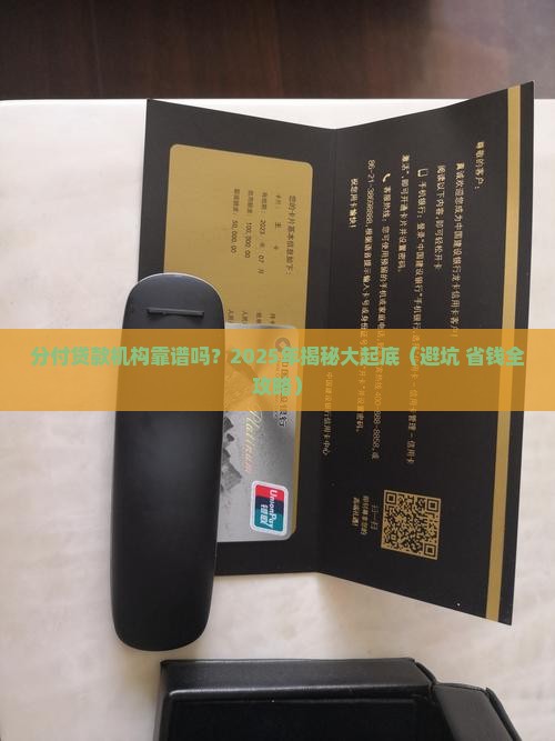分付贷款机构吗
