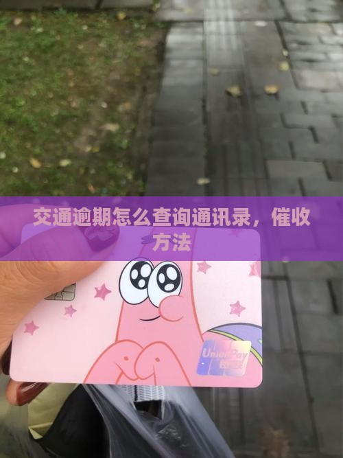 交通逾期如何查询通讯录