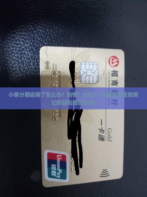 小象分期逾期怎么处理了解逾期还款的处理方式