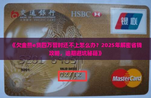 欠金燕e贷四万暂时还不上怎么办才好