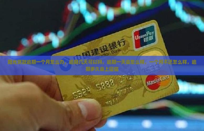 阳光贷款逾期一个月怎么办