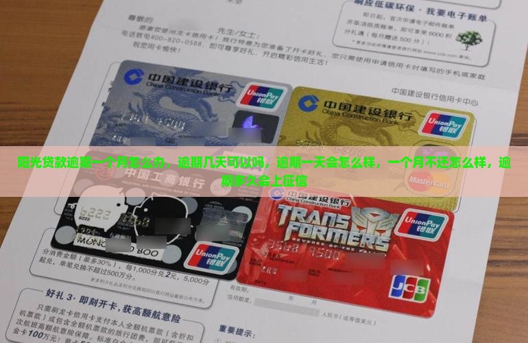 阳光贷款逾期一个月怎么办