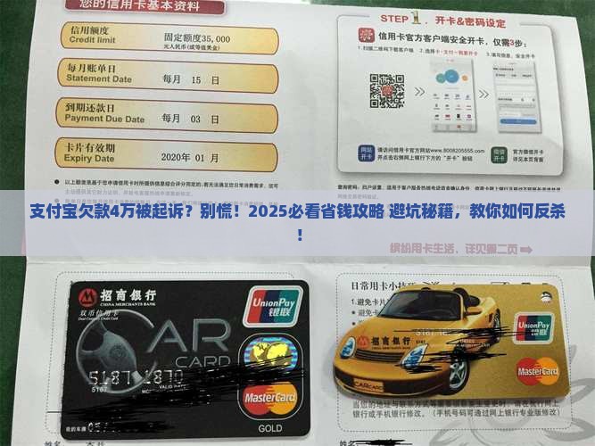 支付宝欠款40000起诉如何处理