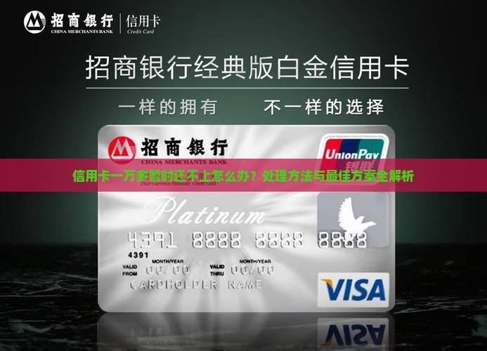 信用卡一万多暂时还不上怎么办处理方式