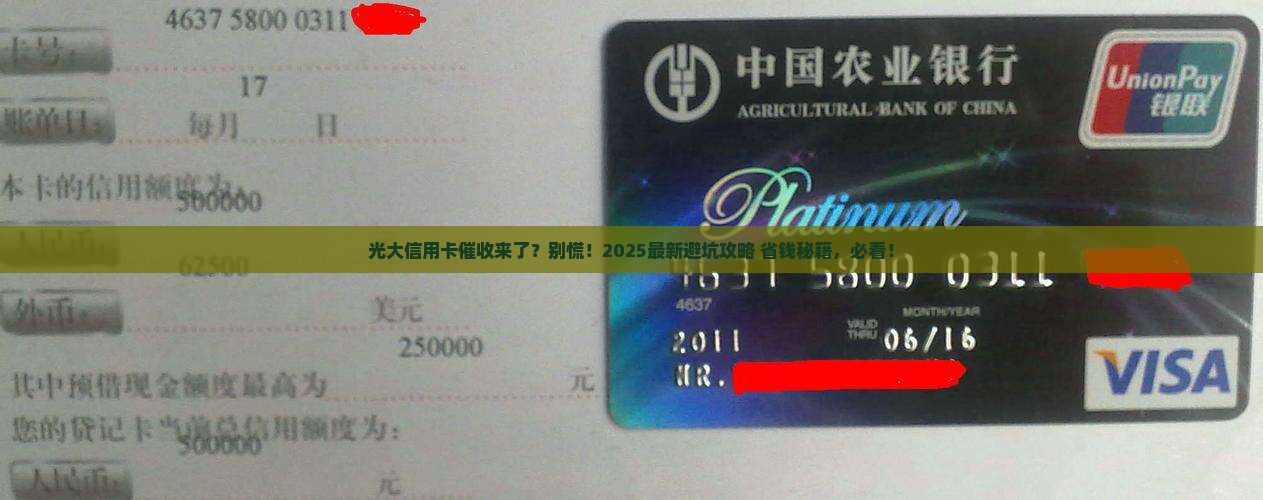 光大信用卡卡来公司催收处理办法