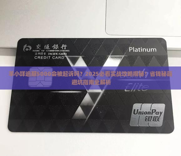 羊小咩逾期5000起诉吗
