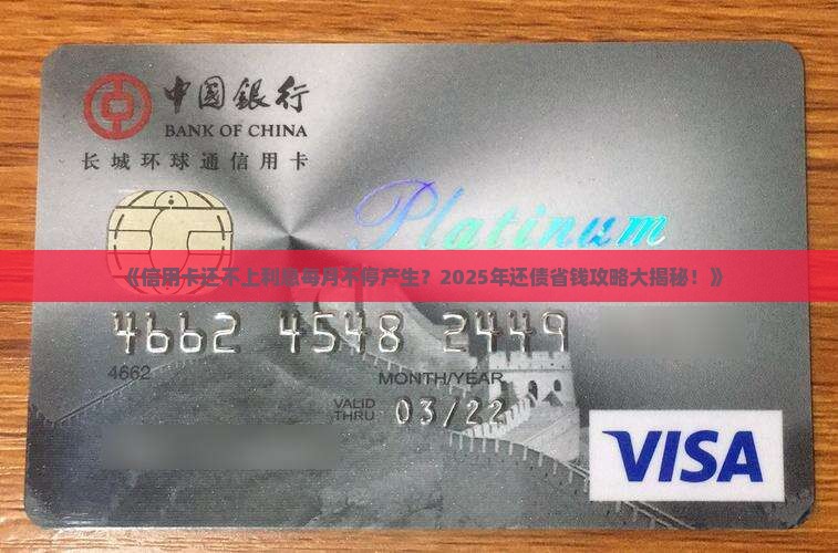 银行信用卡还不起利息每个月在产生怎么办呢 银行信用卡还不起利息每个月在产生怎么办呢